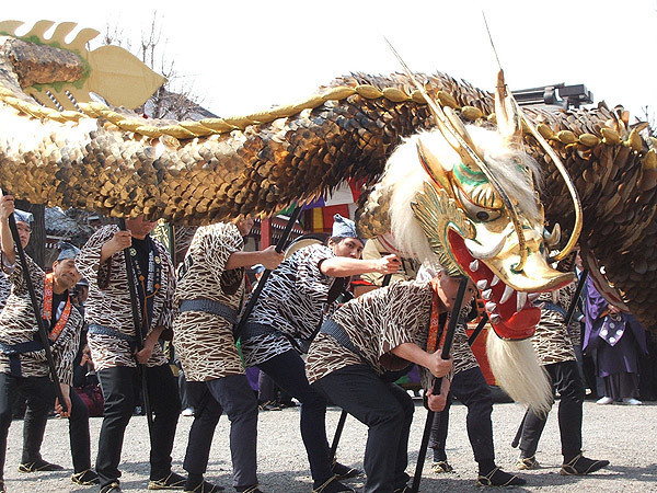 Golden Dragon Dance