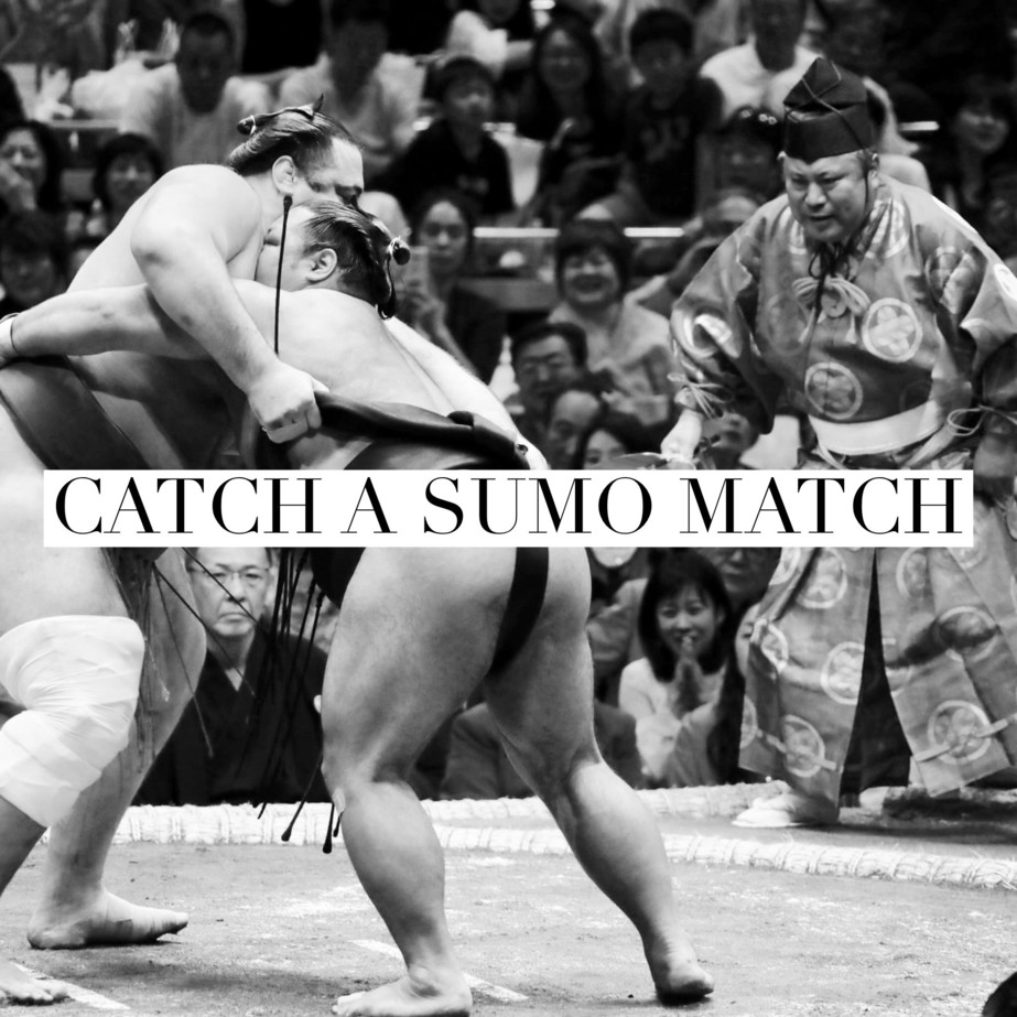 winter sumo date tokyo