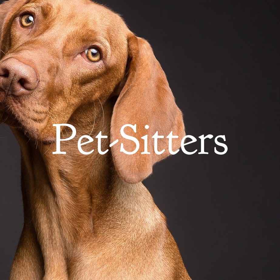 pet-sitting for expats
